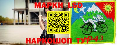 ГАЛЛЮЦИНОГЕННЫЕ ГРИБЫ Берёзовский