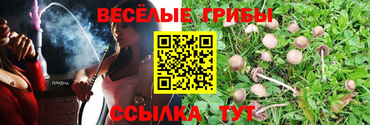 Карталы  Псилоцибиновые грибы прущие грибы  Вход с VPN 